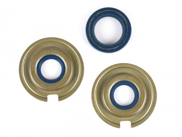 Keerringset Motor Oem Kwaliteit (vespa (piaggio))