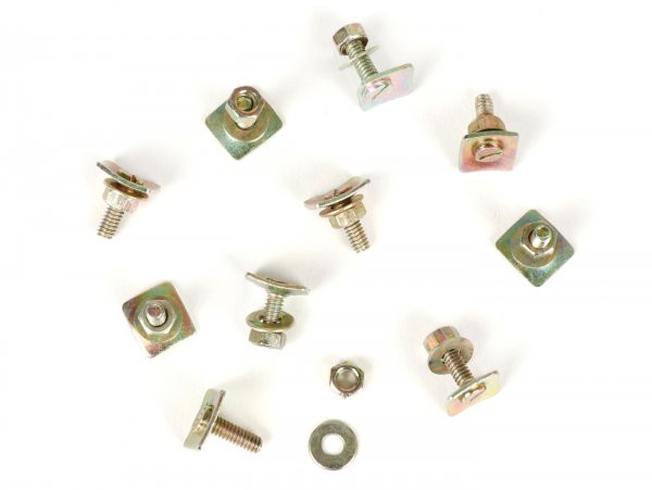 Screw Set For Fixing Trims On Mudguard/side Panel Ams Cuppini, Blech  10 Pcs