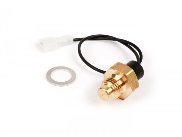 Temperature Sensor Piaggio