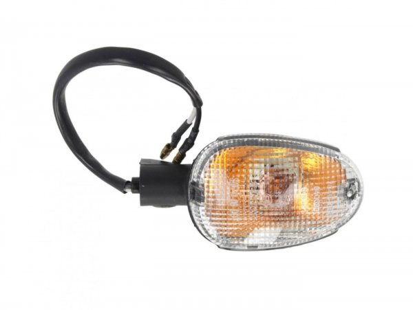 Knipperlicht piaggio Piaggio Nrg Power  wit  achter Links