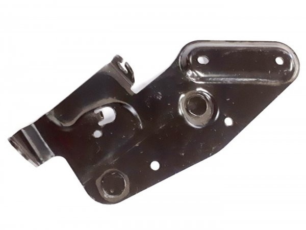 HaltePlaat voor Buddyentriegelung piaggio (Aprilia, Gilera, Vespa Modern)