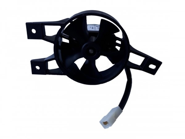 Ventilator Piaggio- Gilera Runner