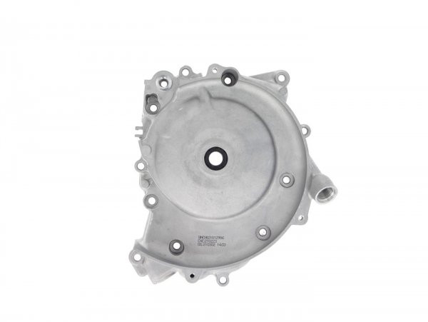 Ontstekingsafdekking Piaggio (piaggio, Vespa Modern)