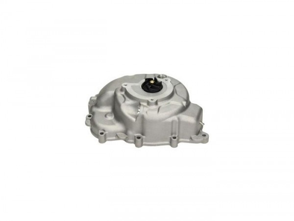 Ignition Cover, Water Pump Piaggio