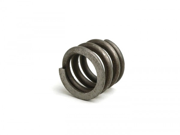 Large Spring For Front Sprocket Casa Lambretta