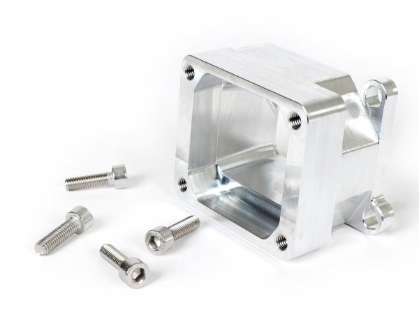 Intake Manifold Reed (lower Part)