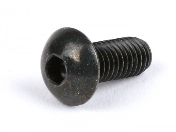 Screw Lens Head Allen M5 X 12 Iso7380-1 Black  Used For Heat Shield Exhaust