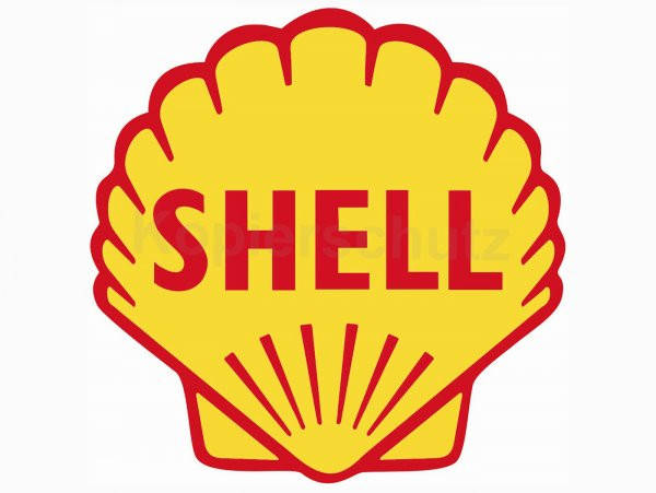 Sticker 80 X 80mm „shell“