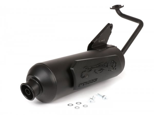 Exhaust Malossi Wild Lion Homolgated