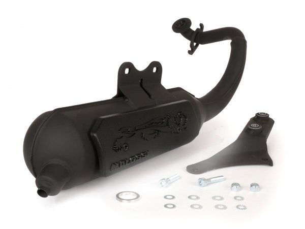 Exhaust Malossi Wild Lion Homolgated