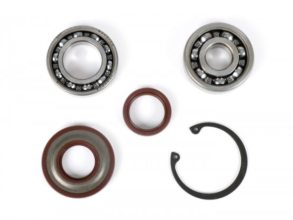 Bearing And Oil Seal Set For Crankshaft Conversion To Ets BGM Pro  1x 6303 + 1x 6005 C3