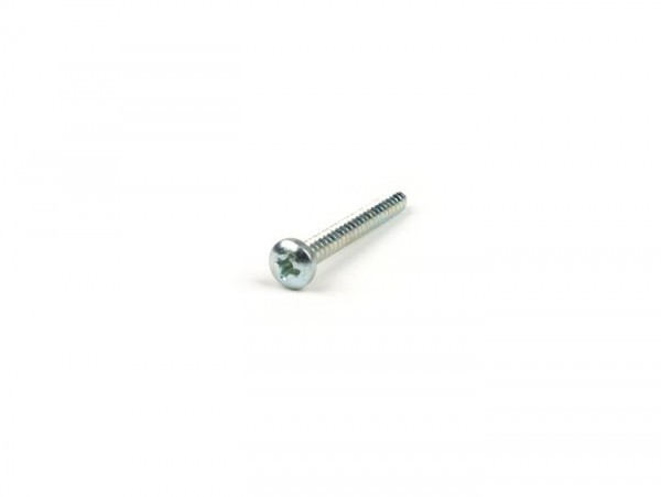 Tapping Screw Din 7981- 4x38mm