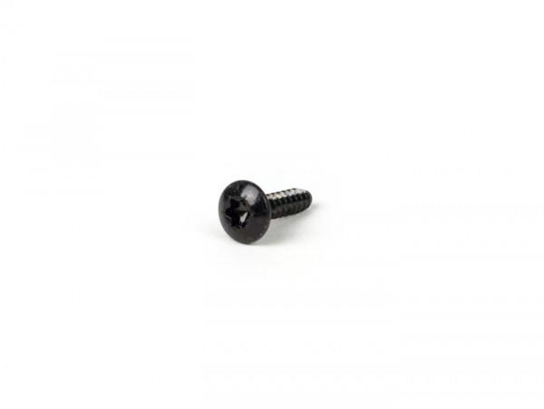 Tapping Screw Piaggio Torx,4.2x16mm