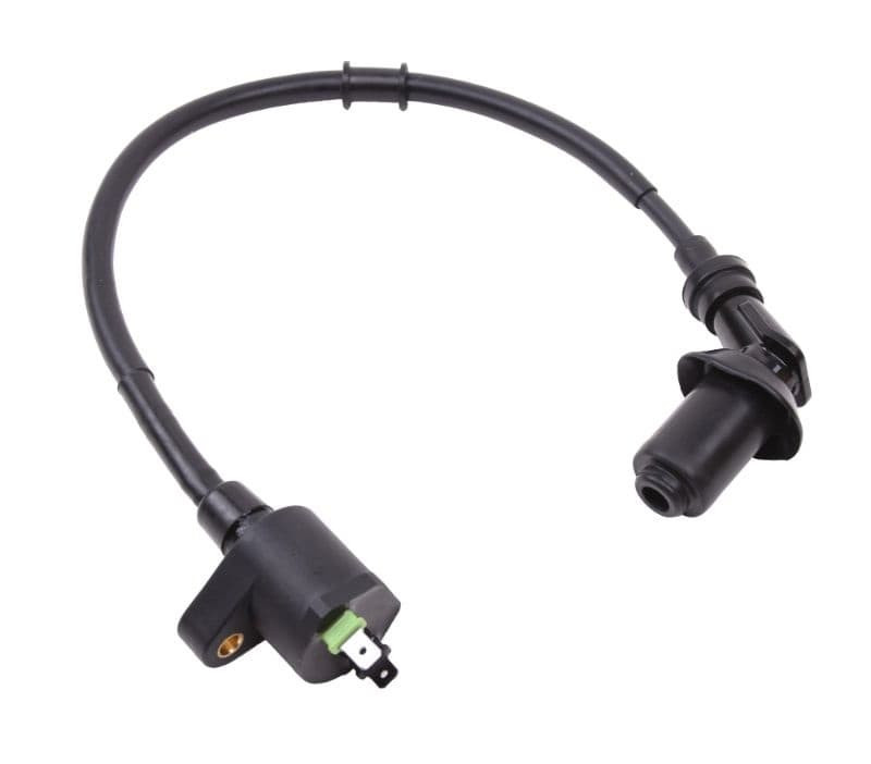 Bobine Incl. Bougiedop Oem | Agm