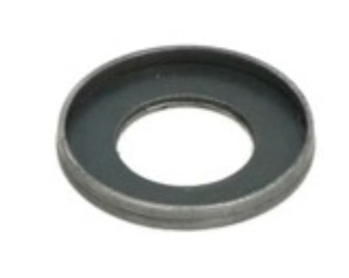 Borgring Klepveer / Klepseal Oem | Piaggio 4T