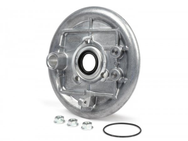 Rear Hub Back Plate Polini