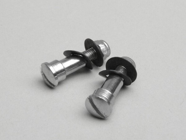 Pair Of Screws (brake Lever + Clutch Lever) Oem Quality