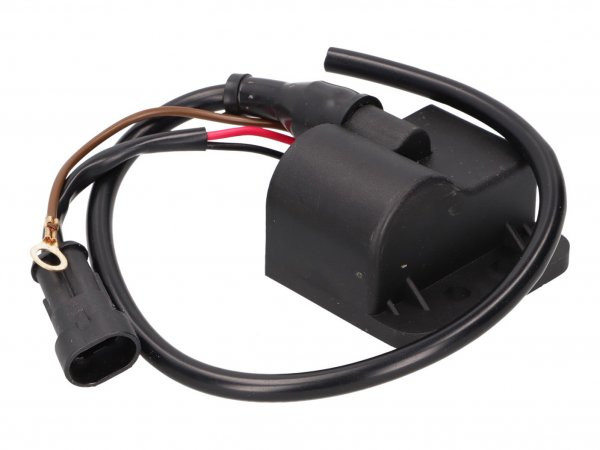 Cdi Unit / Ignition Coil Naraku