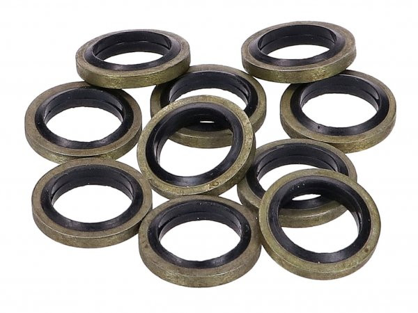 Brake Hose Sealing Ring Set 101 Octane 10x15x1.5mm  10 Pcs