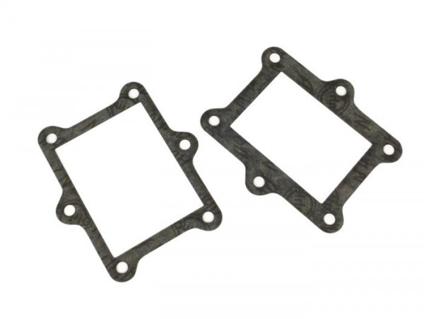 Gasket Set For Reed Valve Intake Quattrini M200