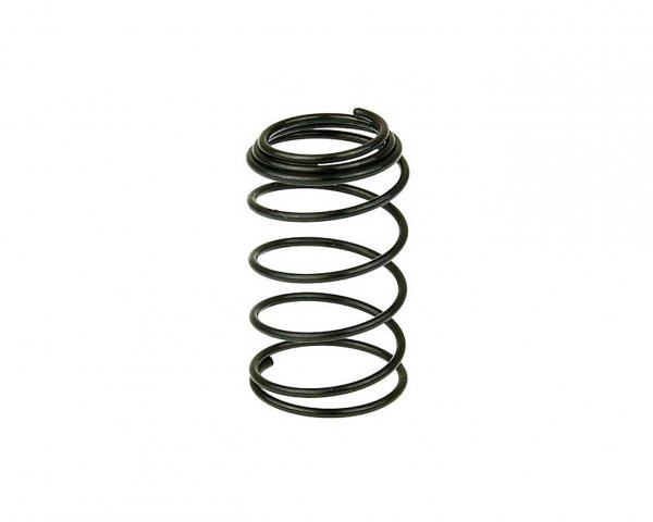 Oil Filter Screen Spring 101 Octane