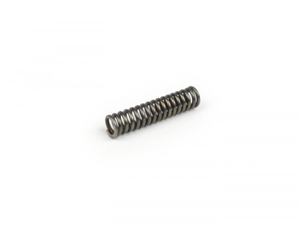 Spring For Primary Gear Piaggio  Inner