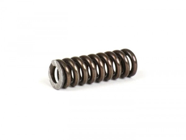 Spring For Primary Gear Repair Kit BGM Pro Verstärkt