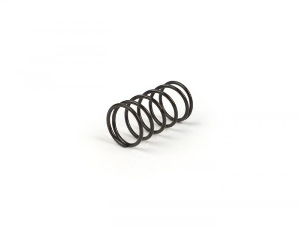 Spring Vor Spare Wheel Support/cover Piaggio