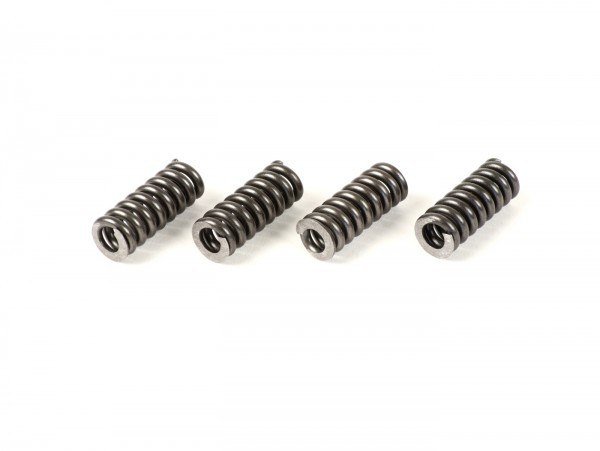 Spring Set For Primary Gear BGM Pro
