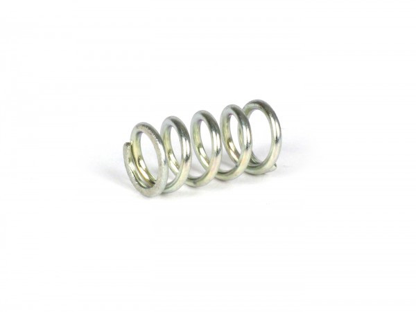 Spring Idle Screw Dellorto