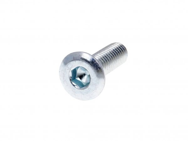 Pan Head Screw 101 Octane M8 For Brake Disc With 10mm Hole