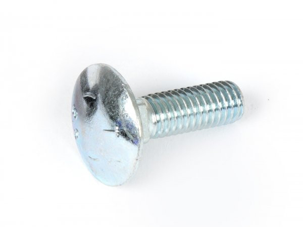 Screw Din 603  M6x20mm