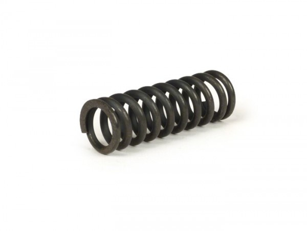 Fork Spring Lambretta  Small (external)