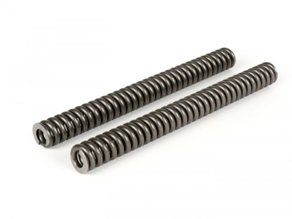 Pair Of Fork Springs BGM Pro +10%