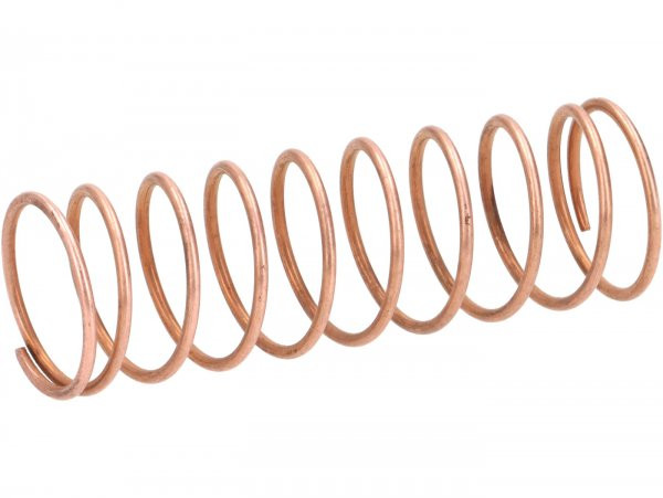 Throttle Slide Spring (copper Plated) Dellorto 1202 (nos)