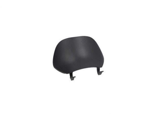 Gepäckfachklappe (schwarz Eingefärbt) Piaggio