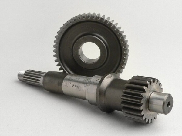Primary Gears Malossi