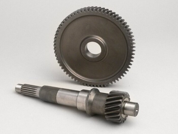 Primary Gears Malossi