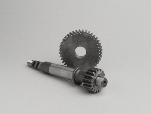 AanDRijving Primair  Malossi (cagiva)