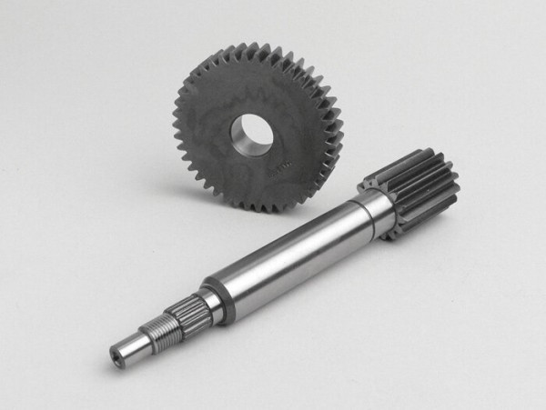 Primary Gears Malossi
