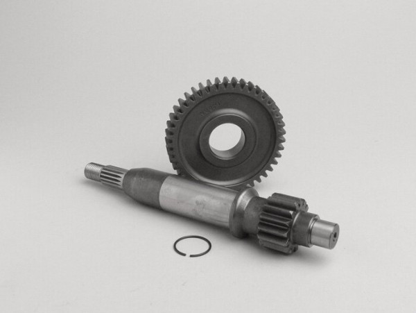 Primary Gears Malossi
