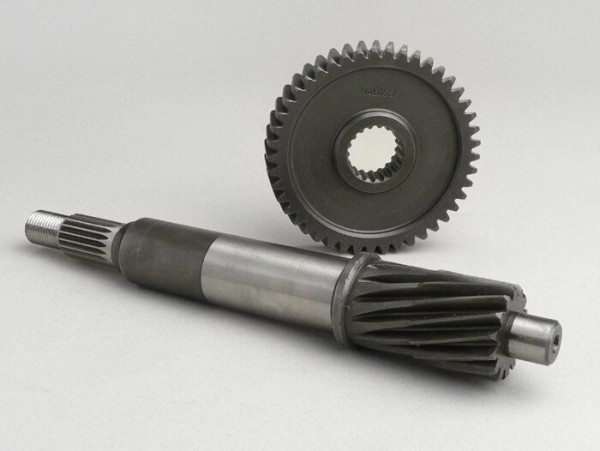 Primary Gears Malossi