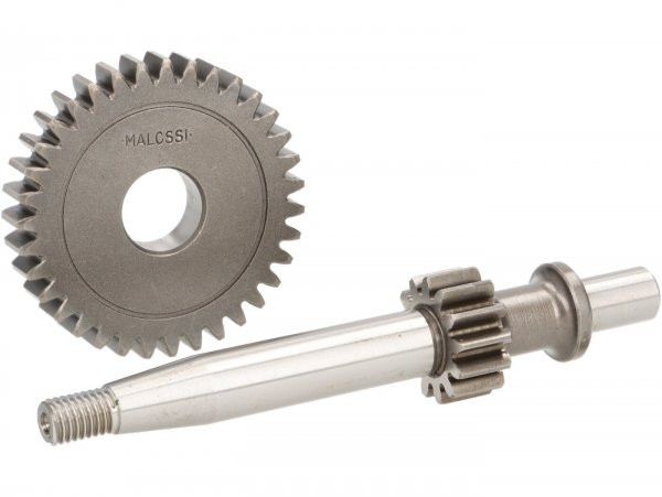 Primary Gears Malossi