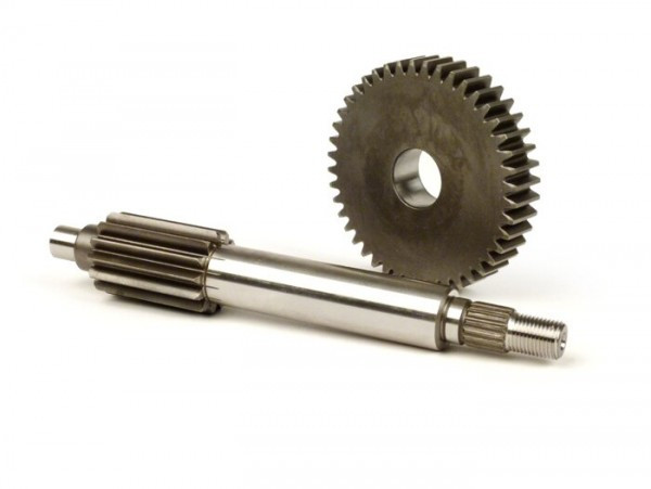 Primary Gears Malossi