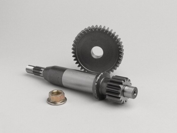 Primary Gears Malossi