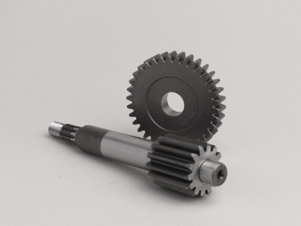 Primary Gears Malossi
