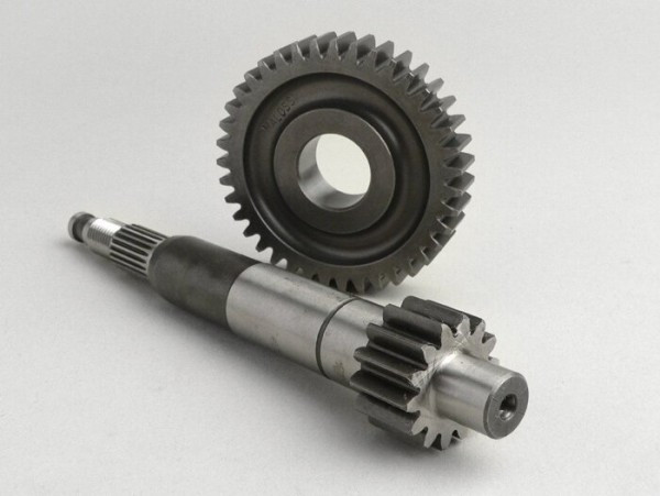 Primary Gears Malossi