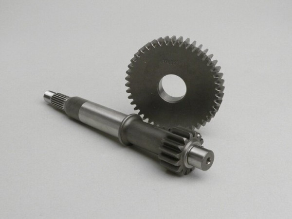 Primary Gears Malossi