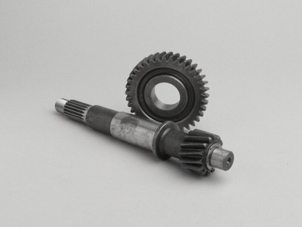 Primary Gears Polini