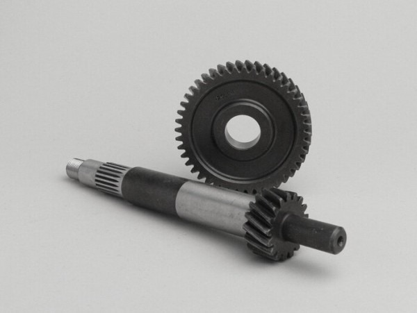 Primary Gears Polini
